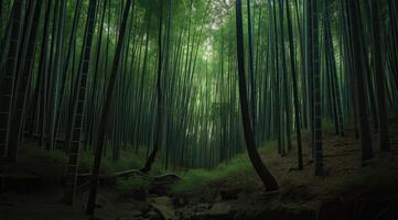 väg genom tät bambu skog, ledande till känd waimoku faller. generativ ai. foto