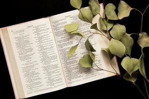 ovanifrån av en öppen bibel med en kvist löv på en mörk bakgrund foto