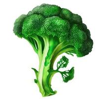 grön broccoli isolerat på vit bakgrund. vattenfärg illustration, ai generation. foto