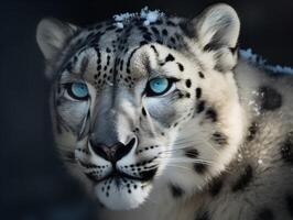 de ensamhet av de snö leopard i de Himalaya foto