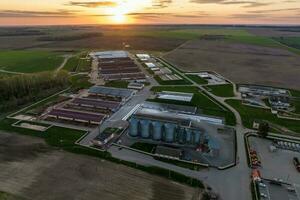 antenn panorama- se på agroindustriell komplex med silos och spannmål torkning linje för torkning rengöring och lagring av flingor gröda foto