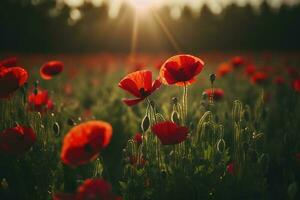 anzac dag minnesmärke vallmo. fält av röd vallmo blommor till hedra fallen veteraner soldater i slåss av anzac vapenstillestånd dag. vild blomning vallmo fält landskap, generera ai foto