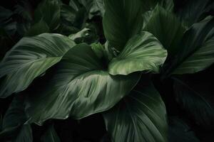 abstrakt grön blad textur, natur bakgrund, tropisk blad , generera ai foto