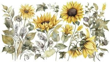 vår blommig konst bakgrund vektor. botanisk vattenfärg hand dragen solrosor, löv, växter. blomma design illustration för tapet, baner, skriva ut, affisch, generera ai foto