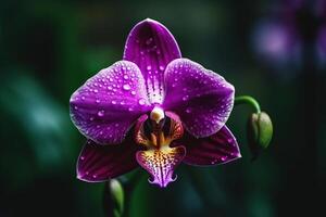 orkide blomma. illustration ai generativ foto
