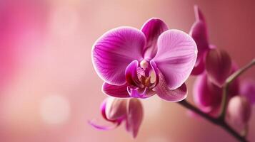 rosa orkide naturlig bakgrund. illustration ai generativ foto