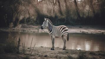 zebra i naturlig bakgrund. illustration ai generativ foto