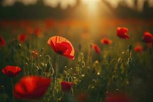 anzac dag minnesmärke vallmo. fält av röd vallmo blommor till hedra fallen veteraner soldater i slåss av anzac vapenstillestånd dag. vild blomning vallmo fält landskap, generera ai foto