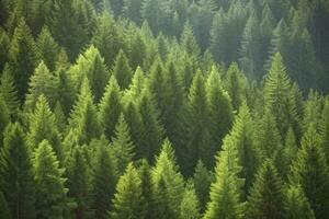 friska grön träd i en skog av gammal gran, gran och tall, generera ai foto
