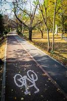 cykelvägar i timisoara park foto