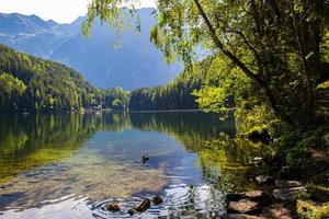 piburger sjö i de österrikiska alperna i tyrolen