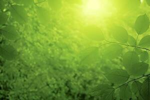 natur av grön blad i trädgård på sommar. naturlig grön löv växter använder sig av som vår bakgrund omslag sida grönska miljö ekologi tapet, generera ai foto