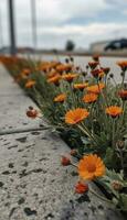 några blommor är fodrad upp på de sida av en väg, i de stil av brutalist, Anka kärna, fläck mätning, betong, orange, prärie kärna, återvunnet, generera ai foto