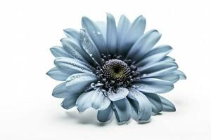 blå blomma isolerat på vit bakgrund, png med genomskinlighet , generera ai foto
