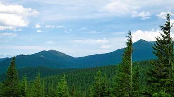 karpater berg panorama av gröna kullar i sommar berg foto