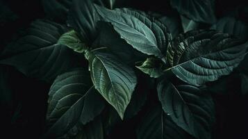 abstrakt mörk grön yta av löv naturlig blommig bakgrund, generera ai foto