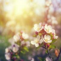 skön natur scen med blomning blommor träd och Sol blossa, skön fruktträdgård , generat ai foto