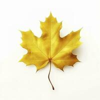 gul lönn blad löv på vit bakgrund, generera ai foto
