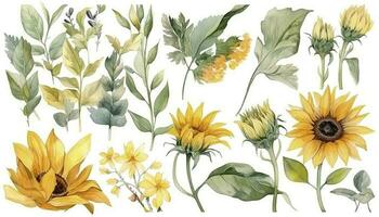 vår blommig konst bakgrund vektor. botanisk vattenfärg hand dragen solrosor, löv, växter. blomma design illustration för tapet, baner, skriva ut, affisch, generera ai foto