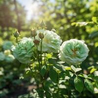 grön trädgård av ro blommor ai genererad foto