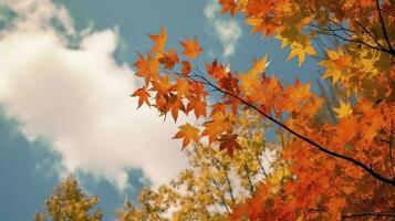 skön höst landskap med. färgrik lövverk i de parkera. faller löv naturlig bakgrund, generera ai foto