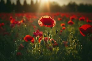 anzac dag minnesmärke vallmo. fält av röd vallmo blommor till hedra fallen veteraner soldater i slåss av anzac vapenstillestånd dag. vild blomning vallmo fält landskap, generera ai foto