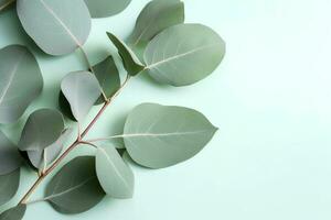 naturlig eukalyptus löv på mynta pastell grön bakgrund. platt lägga blommig sammansättning, topp se, kopia Plats, generera ai foto