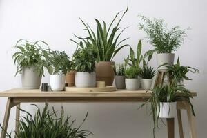 grön krukväxter i kastruller och vattning kan på trä- tabell nära vit vägg , generera ai foto