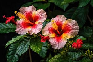 hibiskus blomma. illustration ai generativ foto