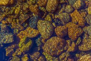 gyllene stenar under vatten foto