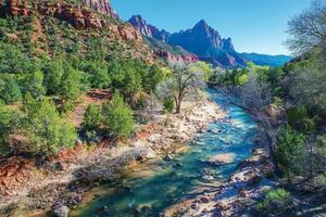 vår i zion nationell parkera foto