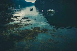 norska fjord reflektioner foto