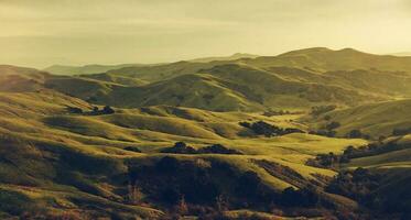 panorama- santa lucia rullande kullar nära cambria foto