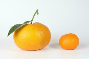 jätte mandarin orange foto