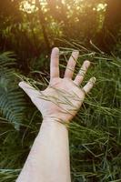 handen vidrör växterna
