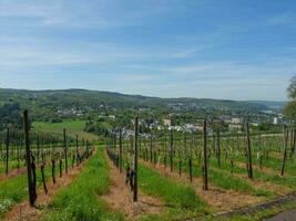 de gammal stad av trier på de mosel flod i Tyskland foto