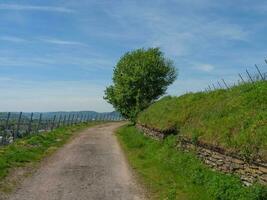 de gammal stad av trier på de mosel flod i Tyskland foto