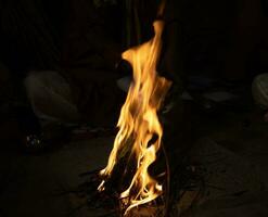 enorm bål flamma på natt tid. skön flamma på en mörk bakgrund. lägereld med ljus orange flamma stänga upp skott. skön bål flamma med gnistrar. camping och kylning öppen spis begrepp. foto