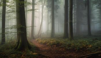 mystisk höst skog, lugn skönhet i natur, läskigt vildmark scen genererad förbi ai foto