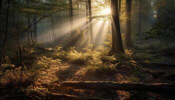 bakgrundsbelyst träd i läskigt skog på solnedgång generativ ai foto