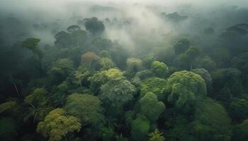 dimmig skog landskap, grön träd och dimma genererad förbi ai foto