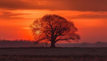 silhuett av akacia träd på solnedgång, afrika genererad förbi ai foto