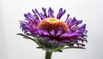 organisk bukett av vildblommor, skönhet i natur bräcklighet genererad förbi ai foto