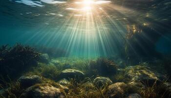 färgrik hav liv i lugn under vattnet landskap, perfekt för dykning dykning genererad förbi ai foto