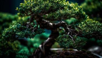 grön tall träd gren med färsk nålar i sommar säsong genererad förbi ai foto
