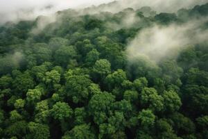 antenn se av dimmig skog, ai genererad foto