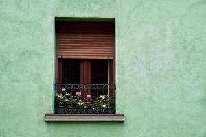 fönster på den gröna fasaden av huset foto