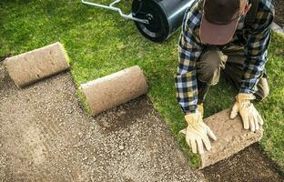 professionell landskapsarkitekt rullande ut naturlig gräs gräsmattor inuti en trädgård foto