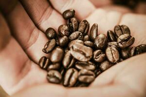 kaffe bönor i en hand foto