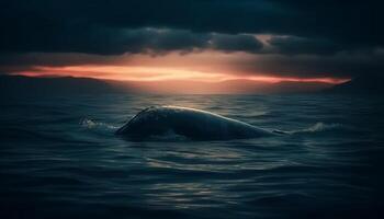 majestätisk puckelrygg val simning i lugn marinmålning på solnedgång genererad förbi ai foto